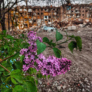 Торкаюся тебе як завжди