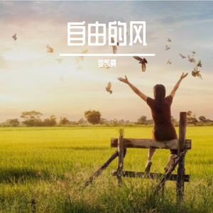 又见白月光-整曲 伴奏