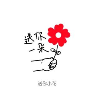 送你一朵小红花（翻自 我）