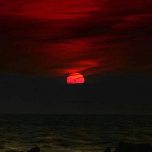 出头鸟（prod by NeeN）