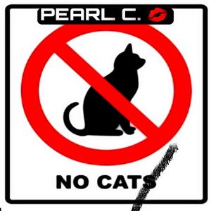 no cat