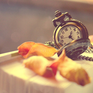 鸿雁（口琴版）