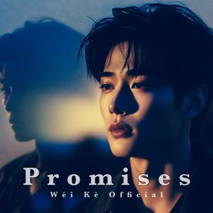 Words You Never Meant