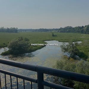 Everything You Wanted (feat. Nathan Boersen)