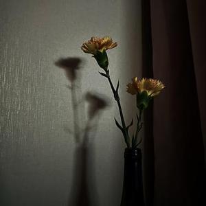 美丽的神话 (Cover 成龙)