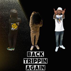 Back Trippin Again (feat. BTO Mike & PapeChaseYon)