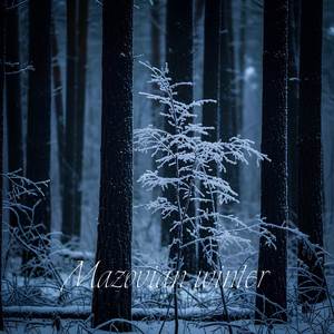 Mazovian Winter