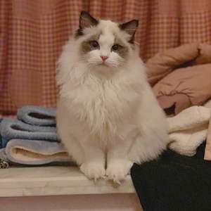 脱团没那么简单