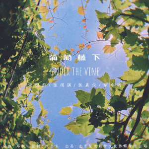 葡萄藤下