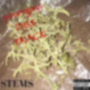 STEMS (diss)