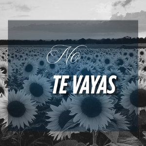 No Te Vayas