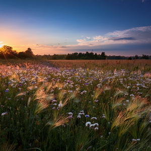 The Vastness Of Quiet Space