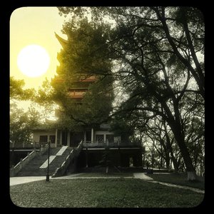 你硬要错过我 到底是为了遇见谁