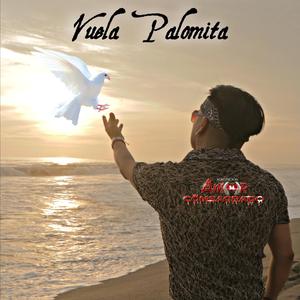 VUELA PALOMITA