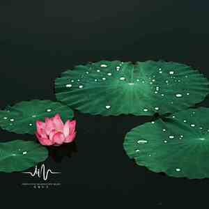 闲云野鹤 (空灵鼓治愈)