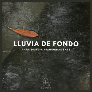 Lluvia de Fondo Para Dormir Profundamente (p01)