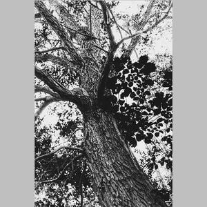 Ten seconds to heaven