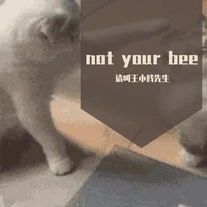 not your bee