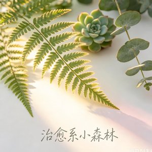 治愈系小森林
