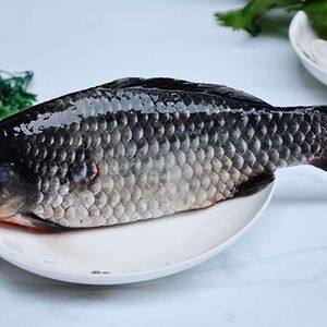 沉鱼落雁