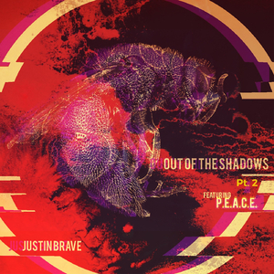 Out of the Shadows, Pt. 2 (feat. P.E.A.C.E.)