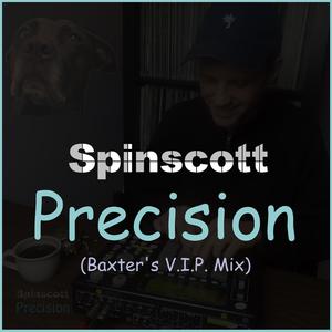 Precision (Baxter's V.I.P. Mix)