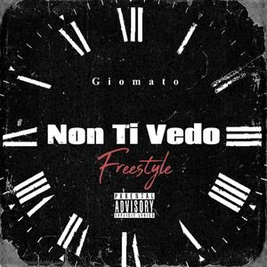 Non Ti Vedo Freestyle