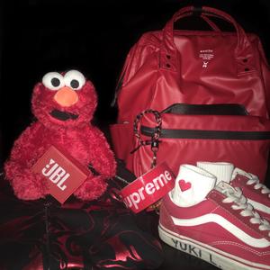 红莓花儿开（女版）