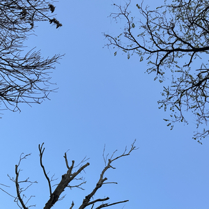 爱是最伟大的魔法