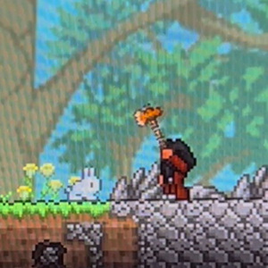 Terraria