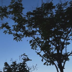 最后一次- 高尔宣