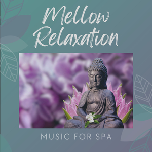 Intimate Spa Moments