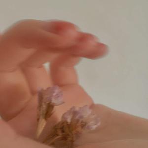 不找了（片段）