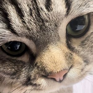 夜空中最亮的星_3D版_翻唱