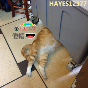 Silly Beat（2RD VISION）