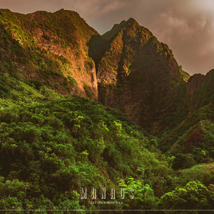 Nap In The Rainforest