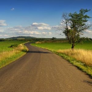 寂静山林（哄娃轻音乐）