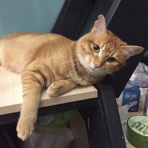 危险地带（prod.tired）