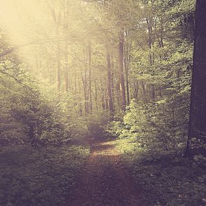 优美晚上放松器乐