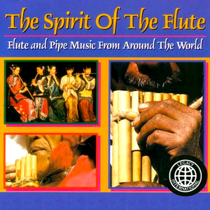 Bach Aria for Flute and Strings