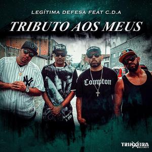Tributo aos Meus