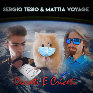 Decreti E Criceti