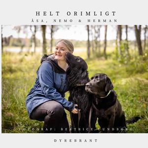 Helt Orimligt