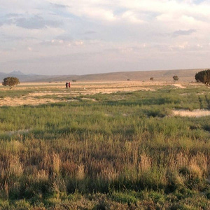 somehow moving forward