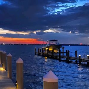 郁金香的爱-整曲 伴奏