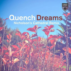 Dreams (Nicholson's Extended Cathedral Remix)