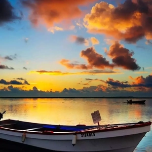 晚风(抖音火影版)