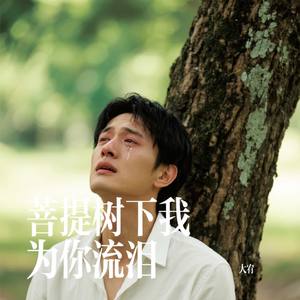 菩提树下我为你流泪