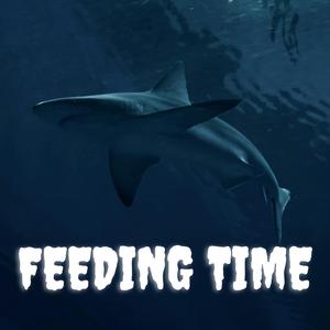 Feeding Time