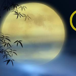 十五的月亮十六元